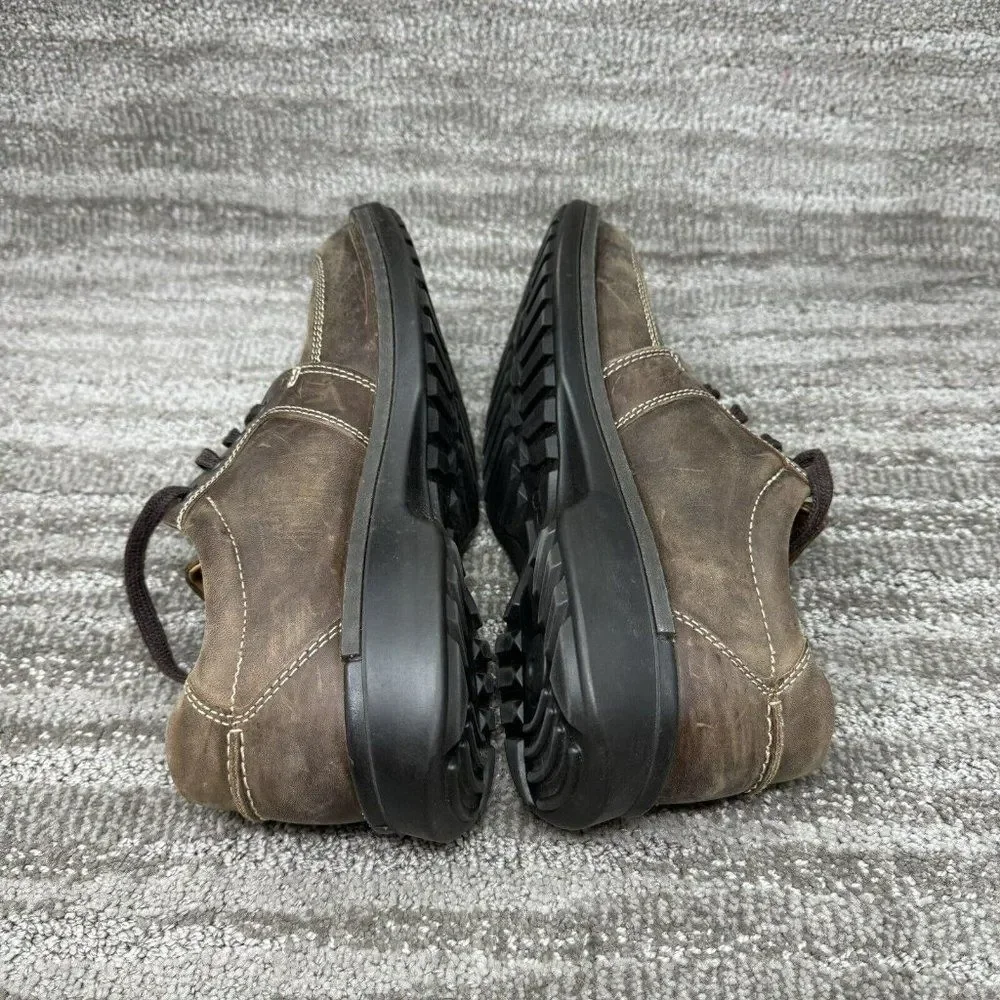 Ecco elevate your